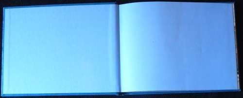 An Edwardian Holiday. Goodall. John. P.