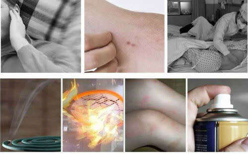 Safe Electric Mosquito Killer Lamp Indoor Fly Bug Insect Zapper Trap LED Light