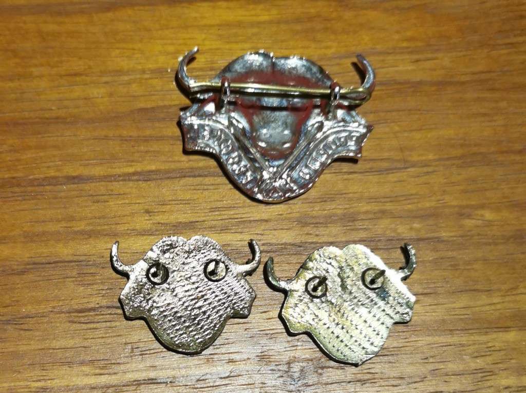 32 Battalion Beret and collar badges