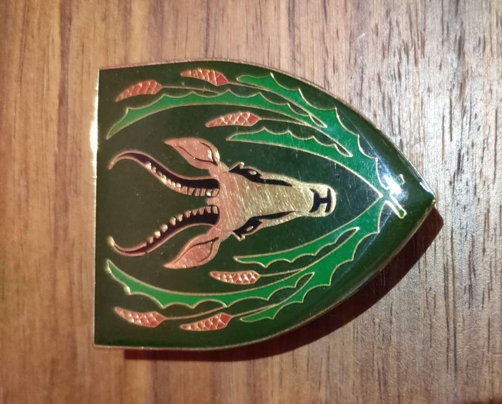 5 South African Infantry Battalion shoulder flash