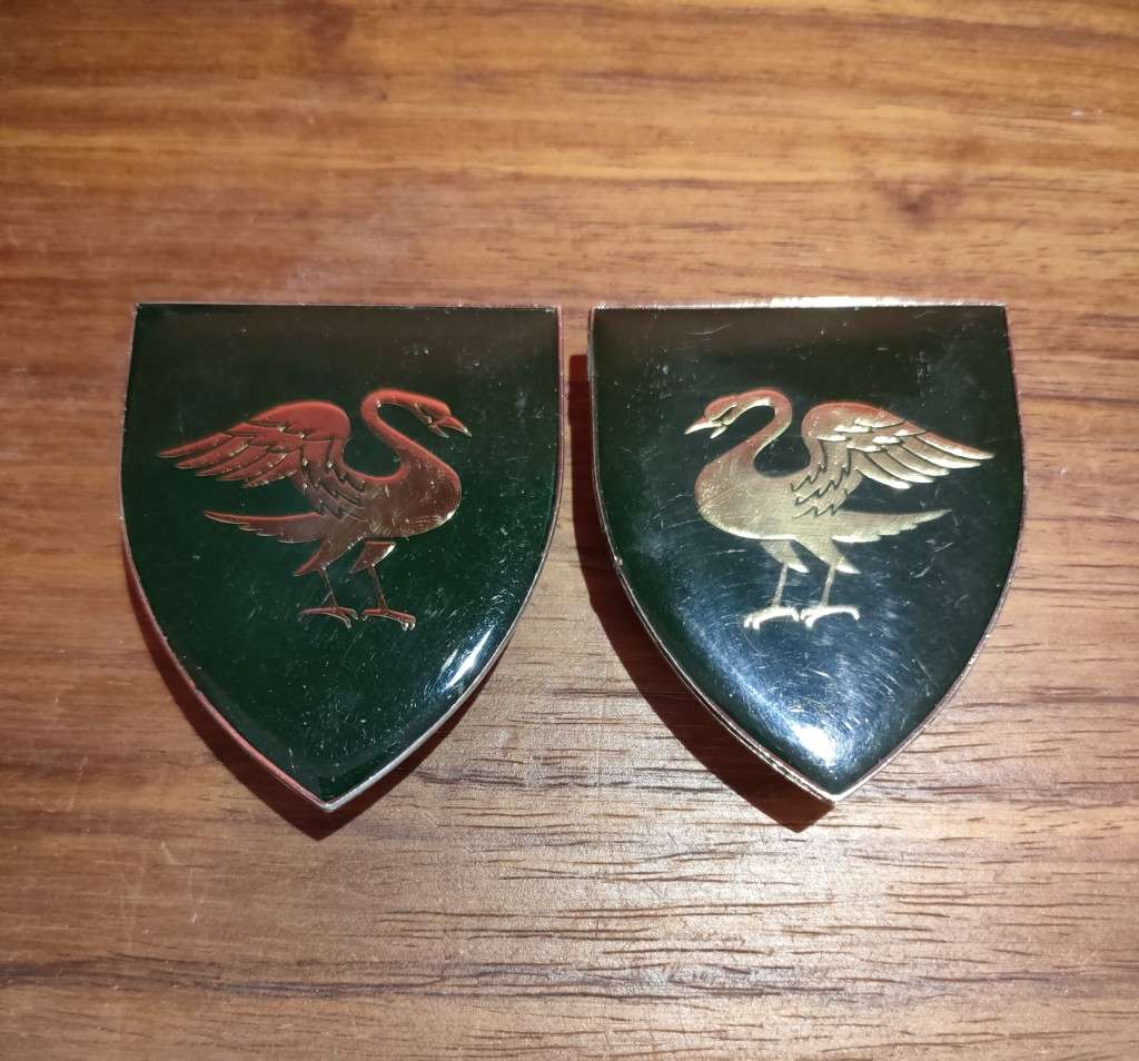 Springs Regiment shoulder flashes