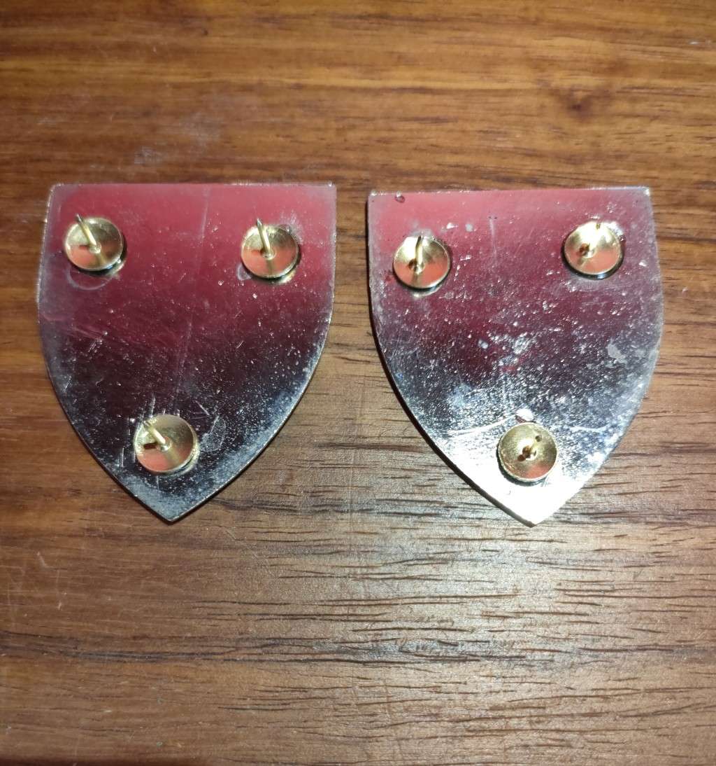 Springs Regiment shoulder flashes