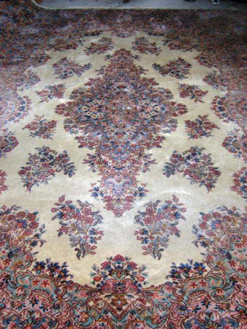 Beautiful Carpet!