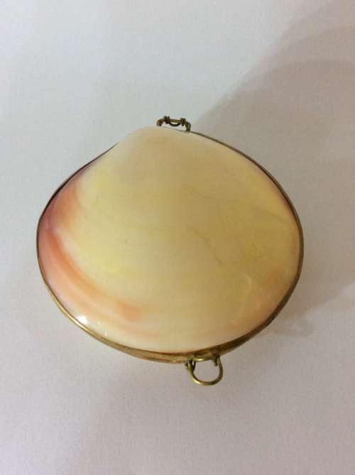 VINTAGE SHELL TRINKET BOX MADE WITH YELLOW METAL - A MUST HAVE - UNIQUE ITEM -