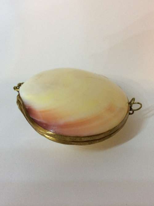 VINTAGE SHELL TRINKET BOX MADE WITH YELLOW METAL - A MUST HAVE - UNIQUE ITEM -