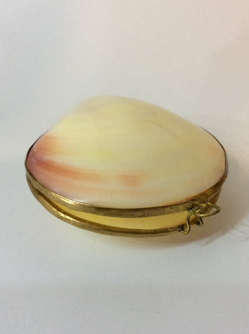 VINTAGE SHELL TRINKET BOX MADE WITH YELLOW METAL - A MUST HAVE - UNIQUE ITEM -