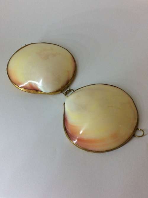 VINTAGE SHELL TRINKET BOX MADE WITH YELLOW METAL - A MUST HAVE - UNIQUE ITEM -
