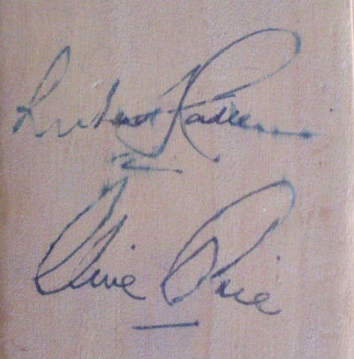 SIGNED CLIVE RICE ODI DAY/NIGHT CRICKET BALL - AMAZING PIECE OF CRICKET HISTORY -