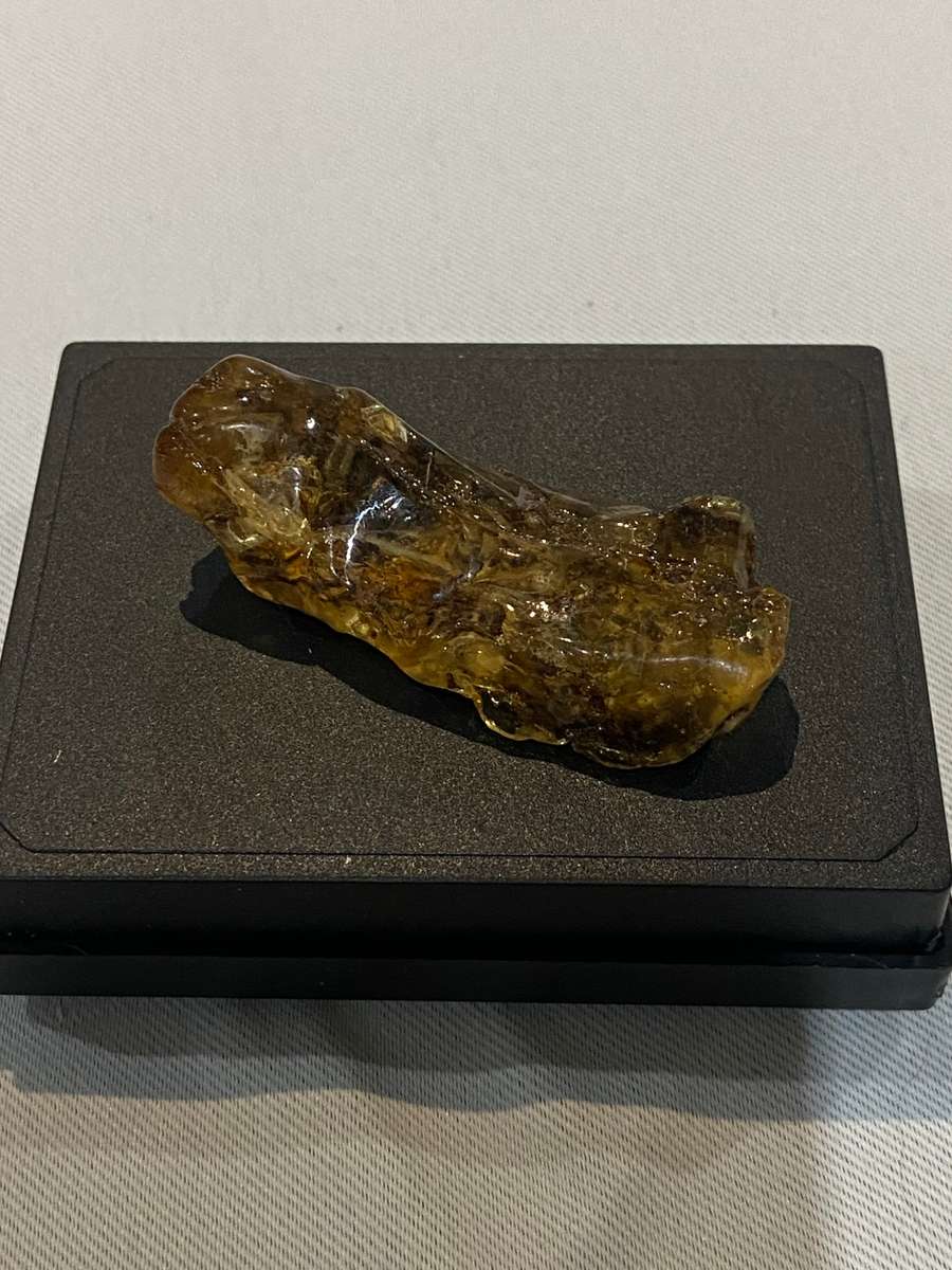 Fossilized Amber uncut
