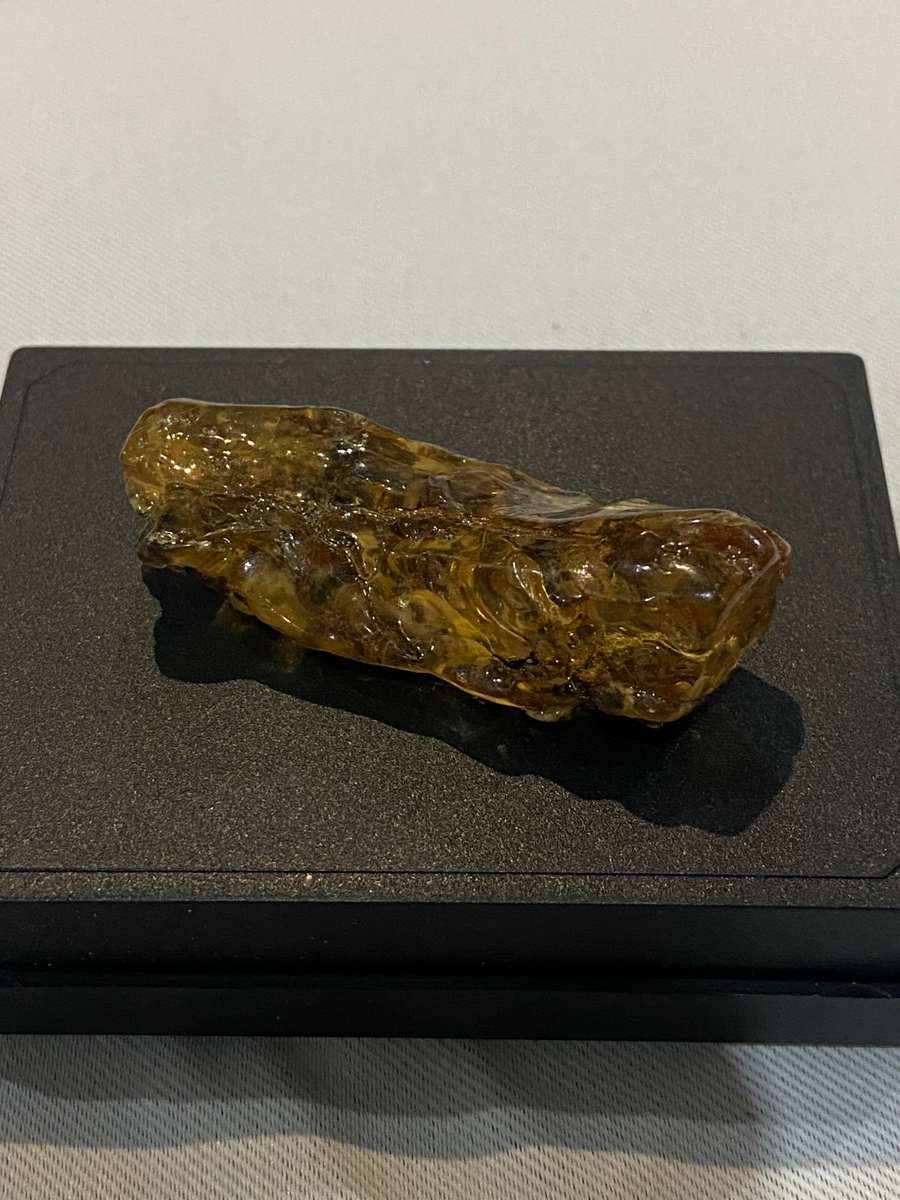 Fossilized Amber uncut