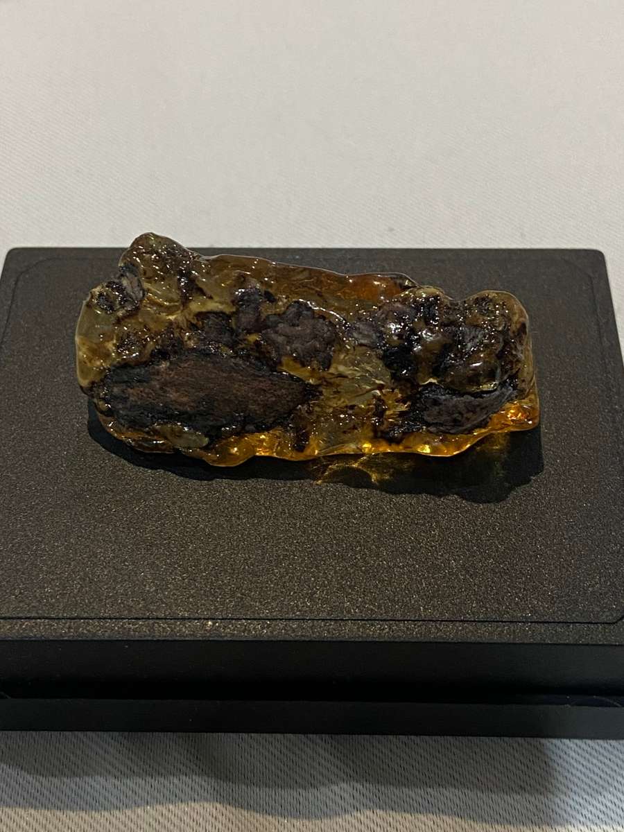 Fossilized Amber uncut