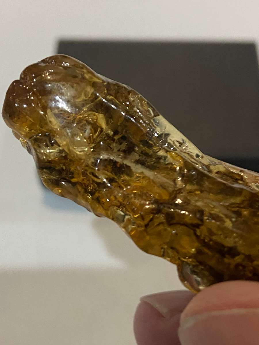 Fossilized Amber uncut