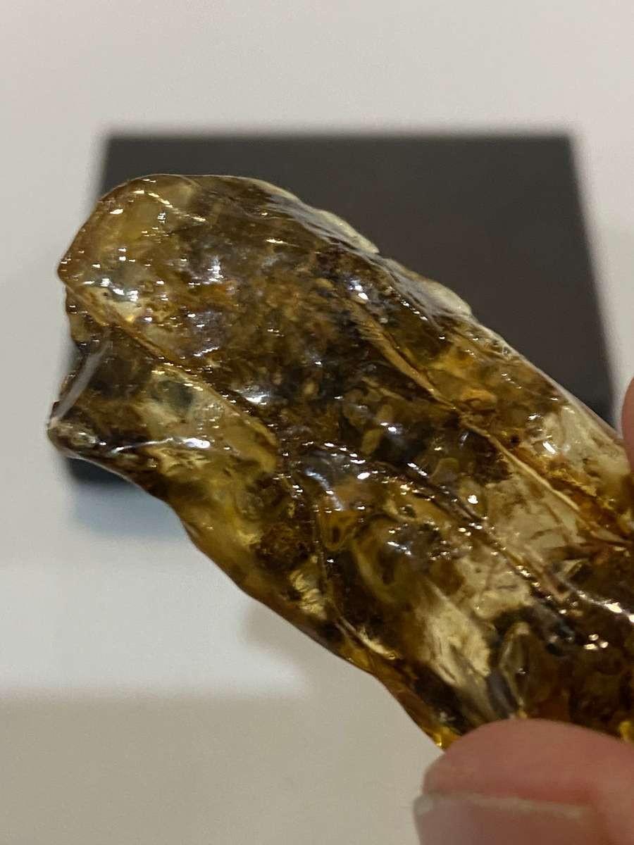 Fossilized Amber uncut