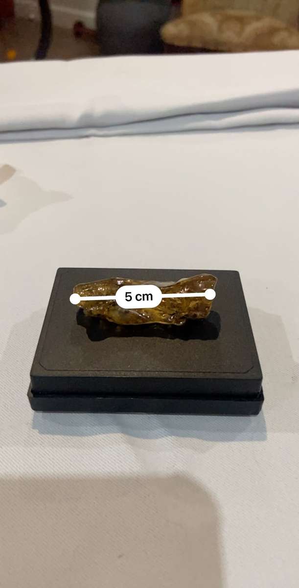 Fossilized Amber uncut