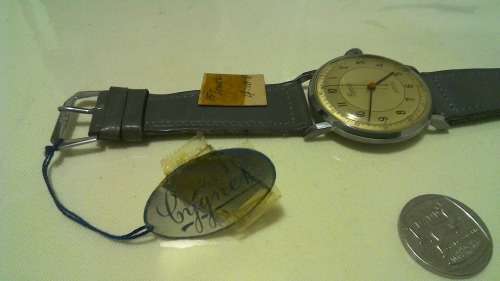 1950s Cygnet 15 Jewels antimagnetic wristwatch