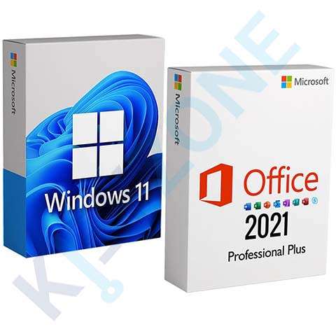 Office 2021 Professional Plus + Windows 11 Professional COMBO