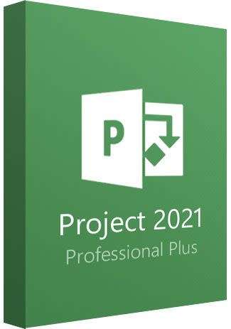 Project 2021 Professional