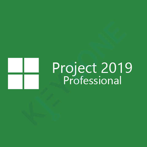 Project 2019 Professional