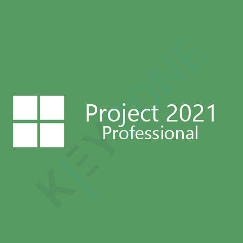 Project 2021 Professional