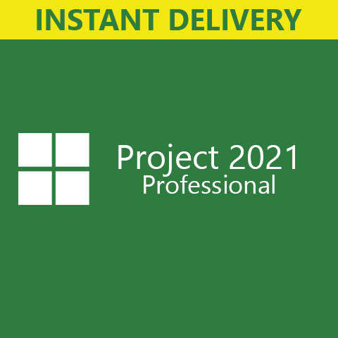 Project 2021 Professional