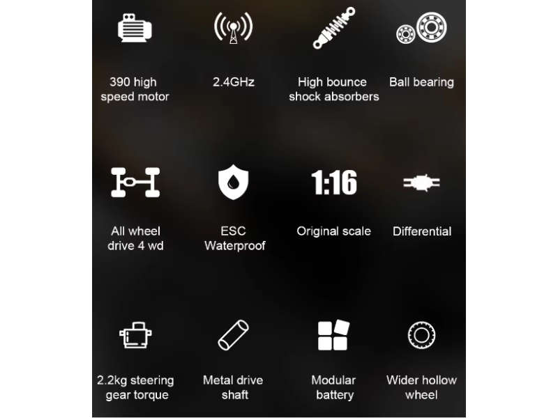 HOSHI N416 1/16 4WD RC Monster Truck Off-Road 2.4GHz - Hobby Grade