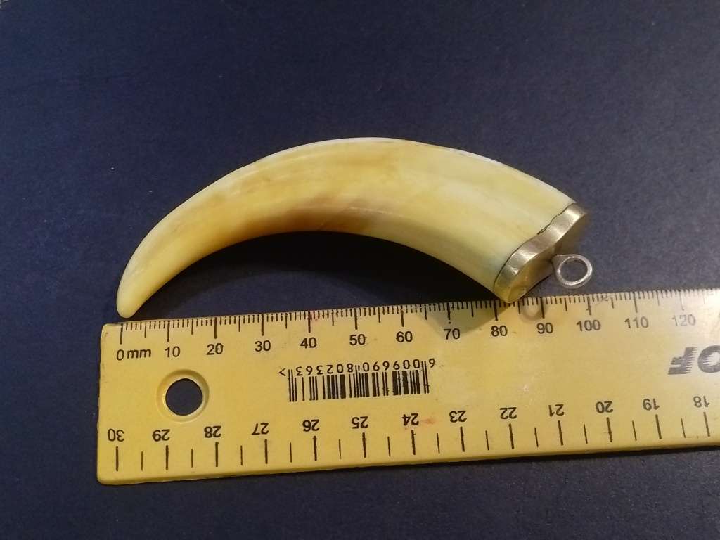 `GAME COLLECTORS` 9CT Yellow Gold `WARTHOG TUSK` Key Holder