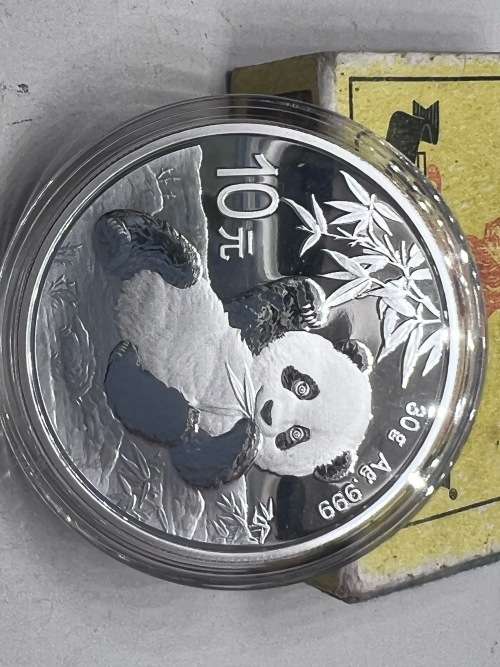 2020 China Panda Silver Coin