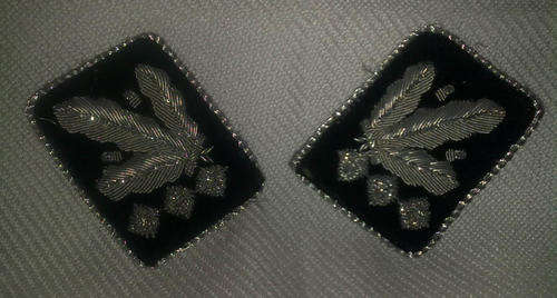 SS Collar tabs