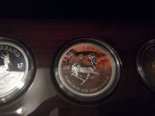 2017 Krugerrand Coin Series (Unique Set)