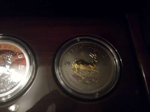 2017 Krugerrand Coin Series (Unique Set)