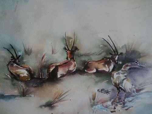 NICELY DONE PIECE BY ZAKKIE ELOFF~~ WATERCOLOUR ON PAPER