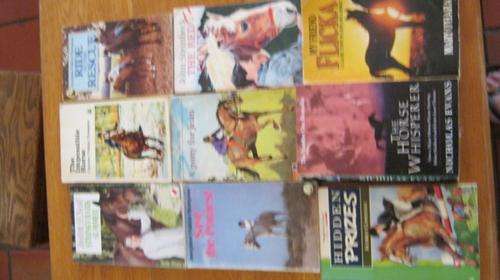9 x Pony stories in 1 lot