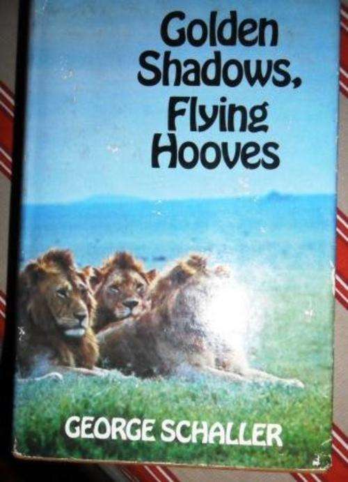Golden shadows, Flying Hooves