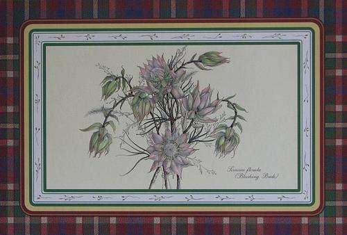 8 x Pretty Protea Placemats with a tartan border