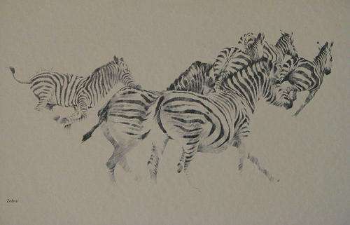 PRINT - ZEBRA, by Leigh Voigt
