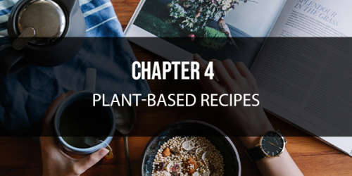 Ebook - Plant Based Eating - A beginners guide to optimal health... Free Bonus