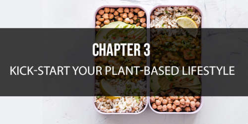 Ebook - Plant Based Eating - A beginners guide to optimal health... Free Bonus