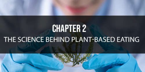 Ebook - Plant Based Eating - A beginners guide to optimal health... Free Bonus