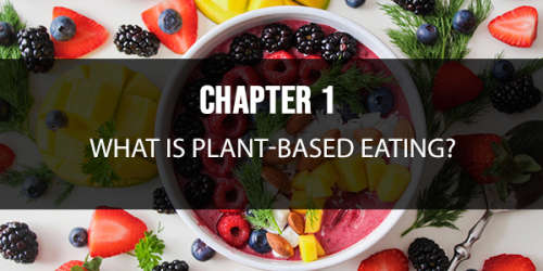 Ebook - Plant Based Eating - A beginners guide to optimal health... Free Bonus