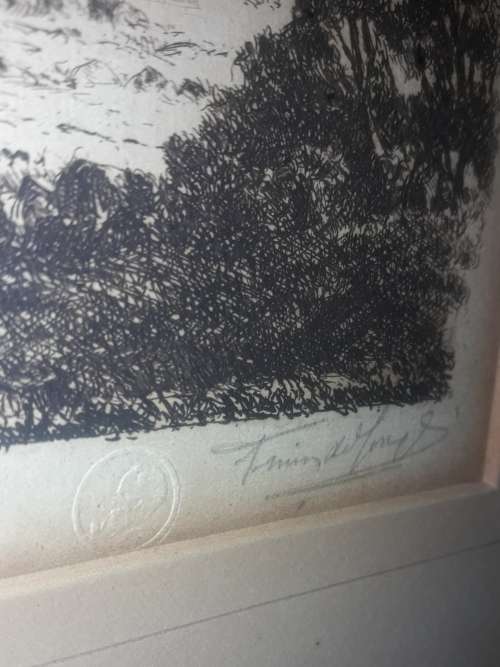 Tinus De Jongh Etching Table Mountain