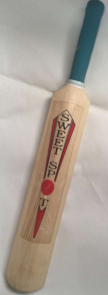 Fanie de Villiers signature on mini cricket bat