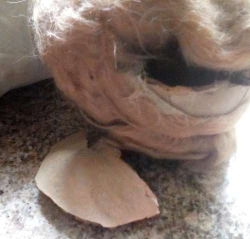 Antique Composition Mohair Doll length approximately 50 cms