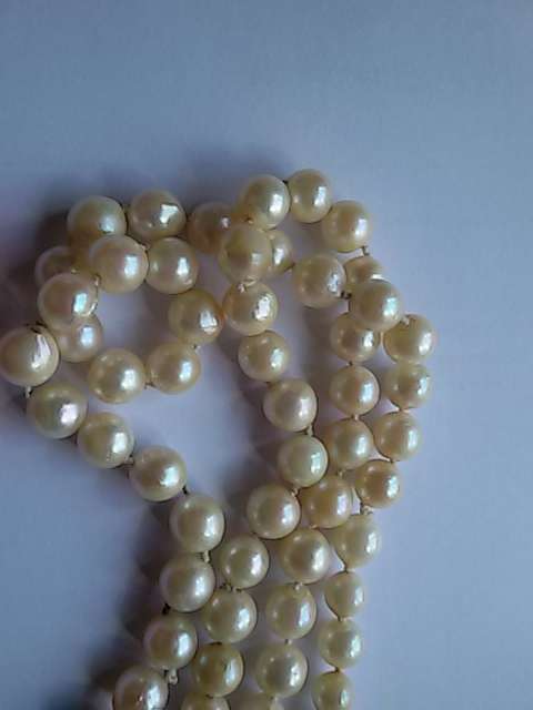 PEARL NECKLACE WITH 9CT GOLD CLASP
