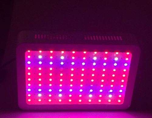 1000W INDOOR GROW LIGHT AND TENT COMBO (Bonus: Plus 100W light for free)