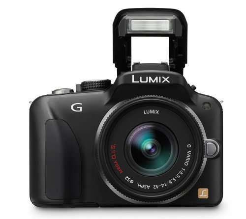 Panasonic LUMIX DMC-G3 16 MP Micro Four-Thirds Interchangeable Lens Camera with 3-Inch Free-Angle To