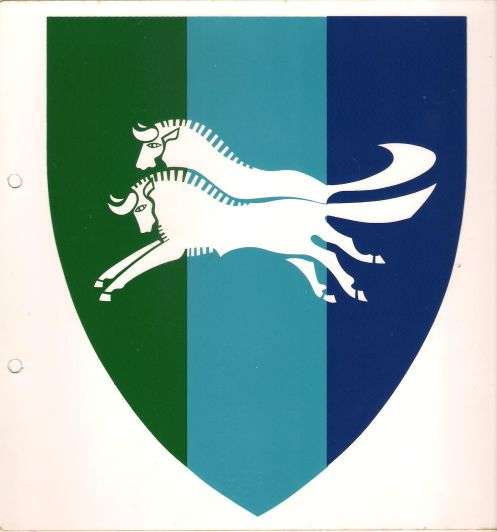 SCARCE 1972 SADF NATAL SIGNAL UNIT DECAL STICKER - ORIGINAL