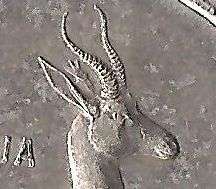 1966 RSA AFRIKAANS SILVER R 1 COIN "TAGGED EAR " HERNS VALUE R 8000 VERY SCARCE !