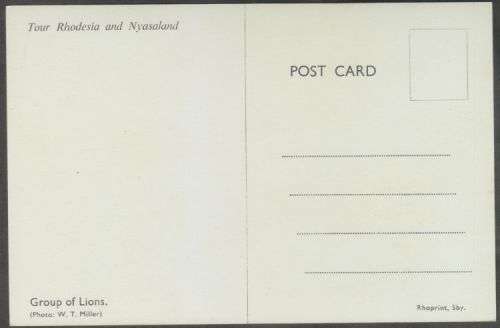 RHODESIA & NYASALAND GROUP OF LIONS COLOUR POSTCARD - UNUSED