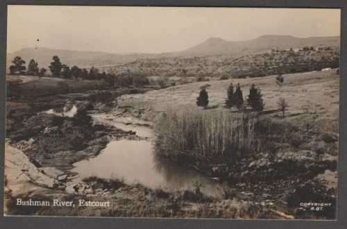 VINTAGE NATAL ESTCOURT BUSHMAN RIVER REAL PHOTOGRAPH POSTCARD - UNUSED