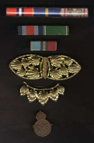 SADF, RHODESIA BARS, SAP BAR incl for ANTI-TERRORISM!! plus C.P.S etc